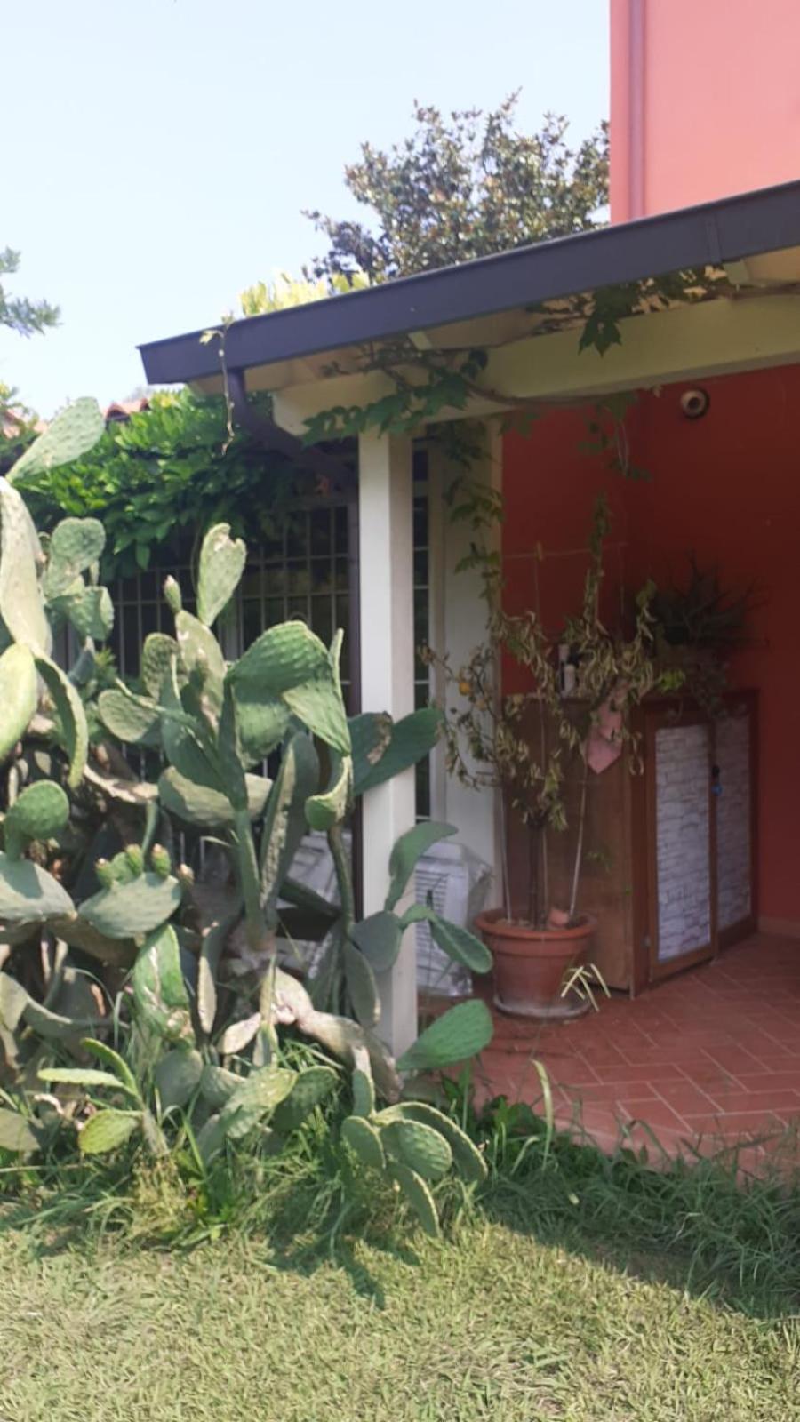 La Casa Delle Buone Letture Villa Lucca Esterno foto